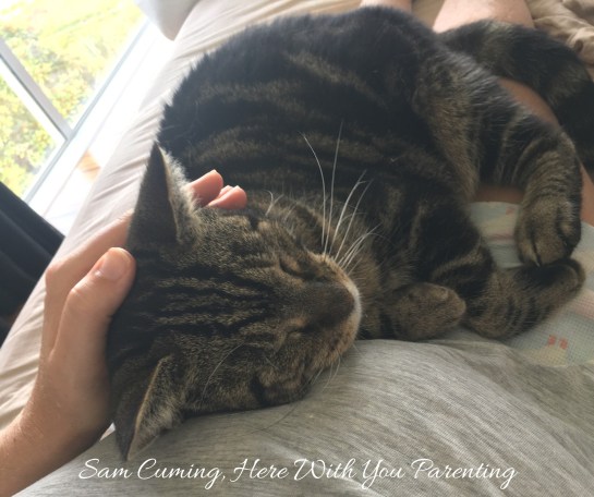 90302649_1272965686234969_6281311983031549952_o