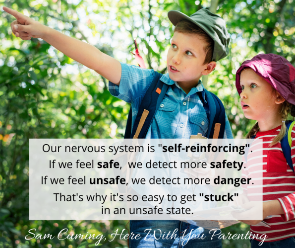 Co-regulation 3 slides (8)